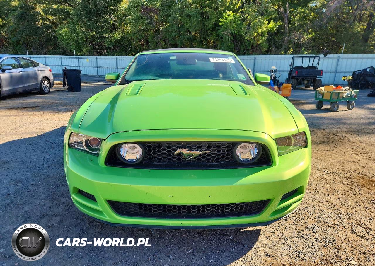 2013 Ford Mustang Gt VIN:1ZVBP8FF8D5259078 - 5