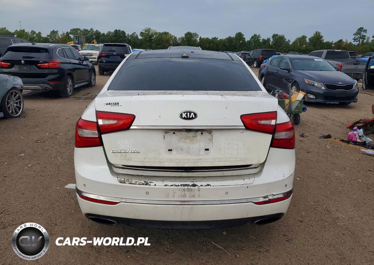 2015 Kia Cadenza Premium VIN:KNALN4D7XF5173403 - 6