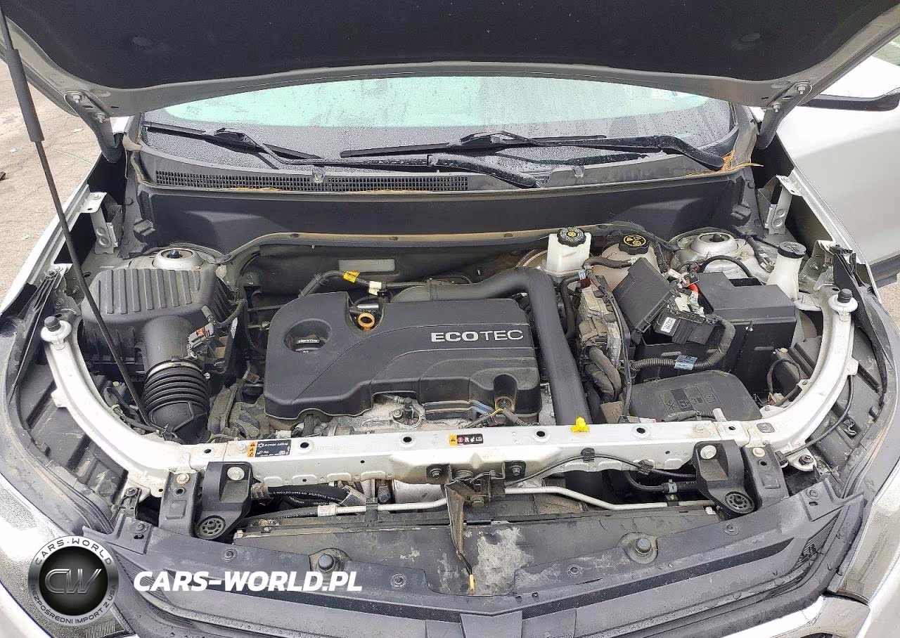 2019 Chevrolet Equinox Lt VIN:2GNAXUEV7K6233497 - 12