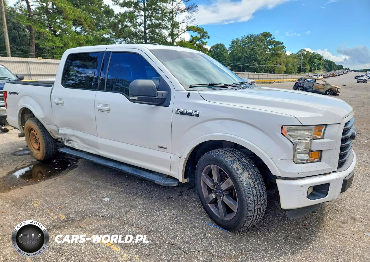2016 Ford F150 Supercrew VIN:1FTEW1CP3GFA68657 - 4