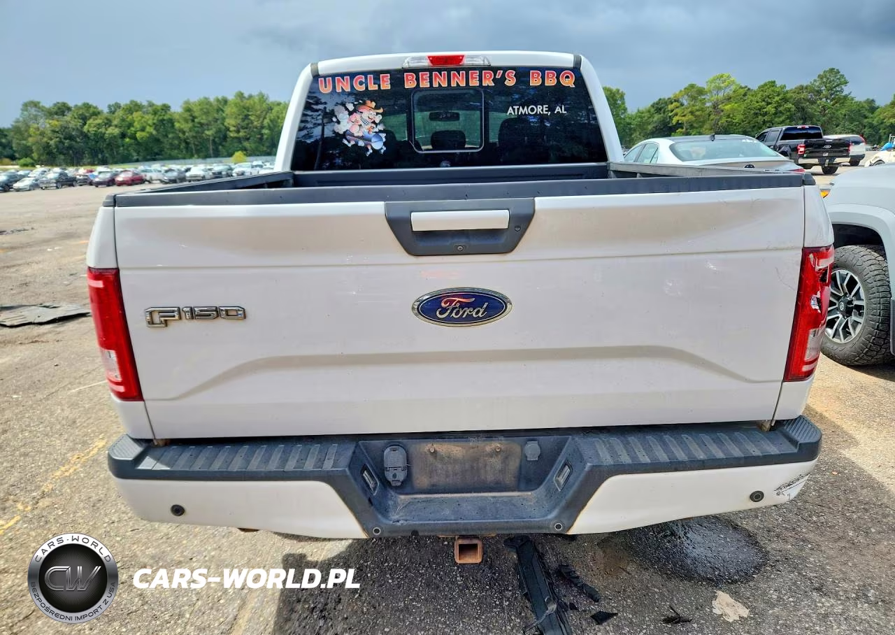 2016 Ford F150 Supercrew VIN:1FTEW1CP3GFA68657 - 6