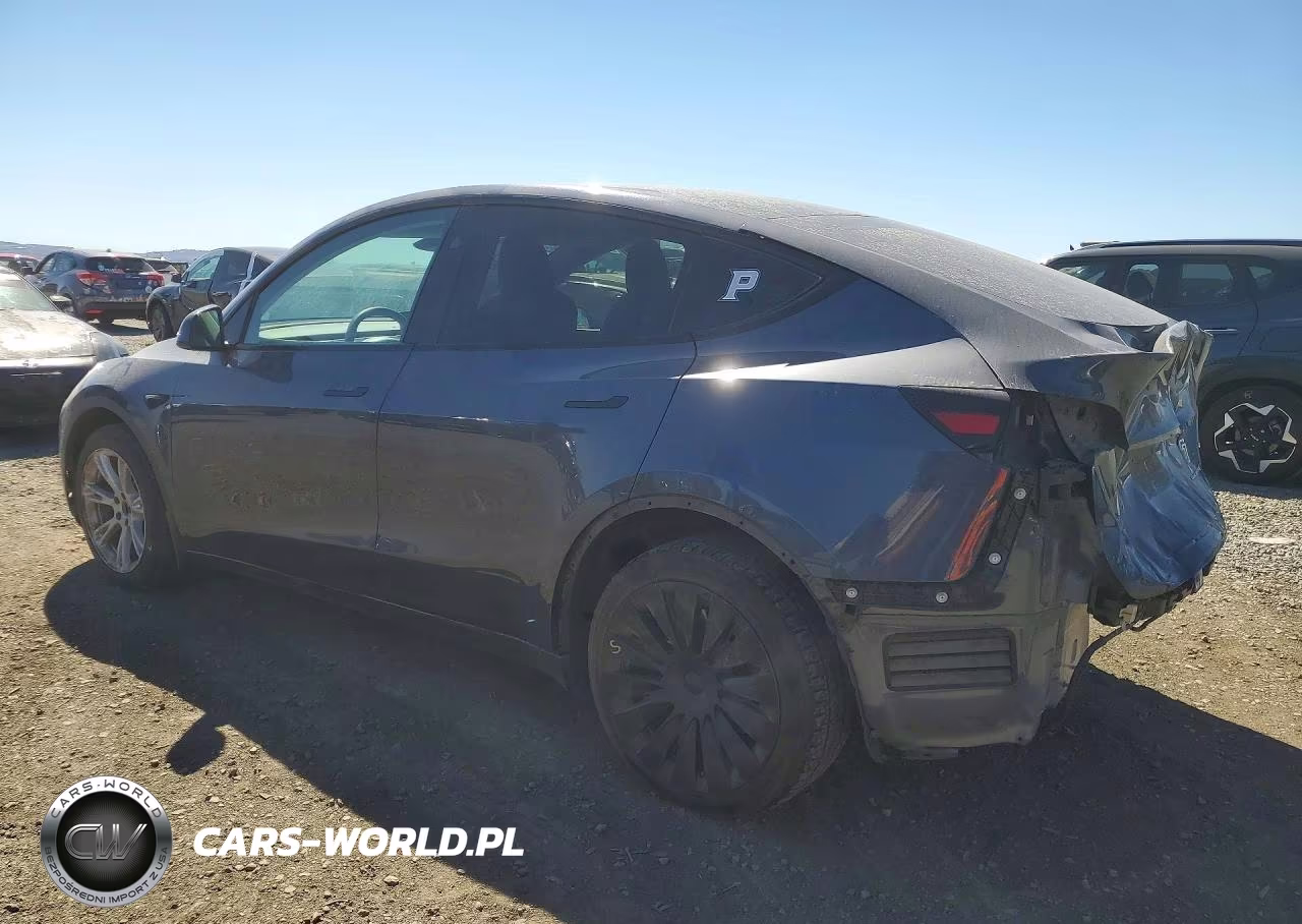 2023 Tesla Model Y VIN:7SAYGDEE3PA202966 - 2