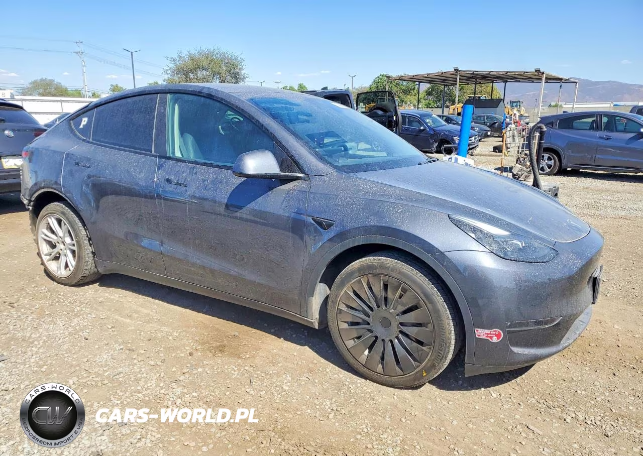 2023 Tesla Model Y VIN:7SAYGDEE3PA202966 - 4