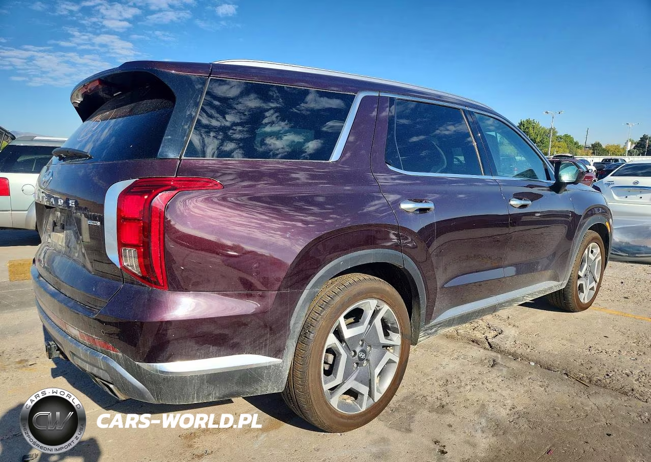 2024 Hyundai Palisade Limited VIN:KM8R5DGE0RU735614 - 3