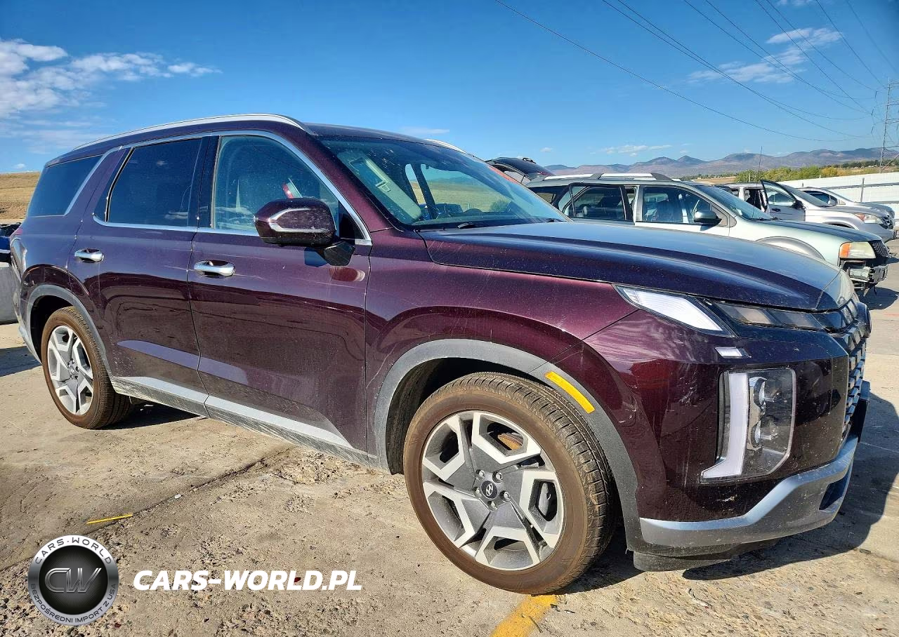 2024 Hyundai Palisade Limited VIN:KM8R5DGE0RU735614 - 4