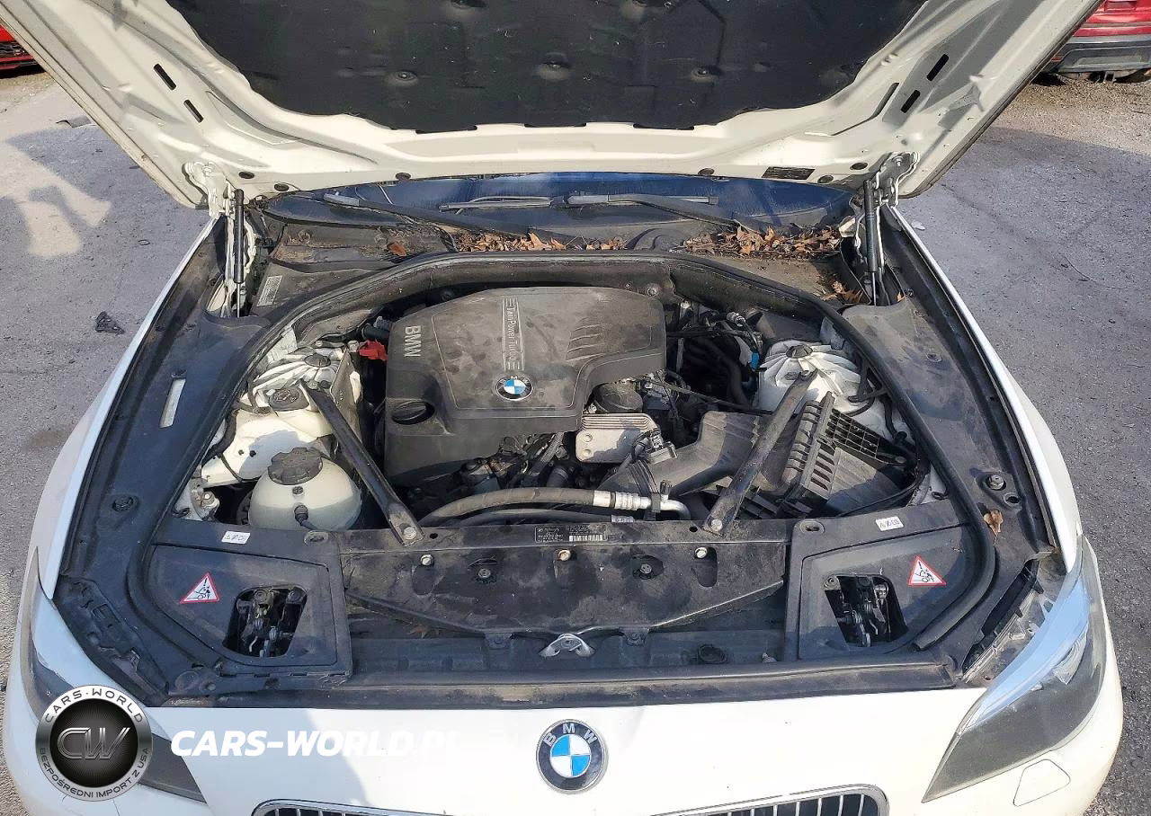 2012 BMW 528 Xi VIN:WBAXH5C55CDW10305 - 11