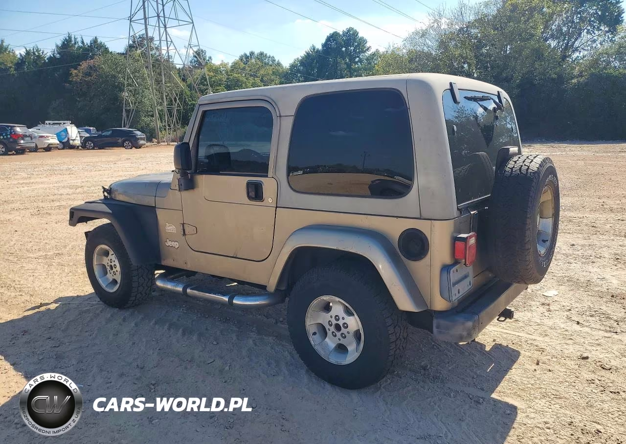 2003 Jeep Wrangler - Tj Sahara VIN:1J4FA59S13P313122 - 2