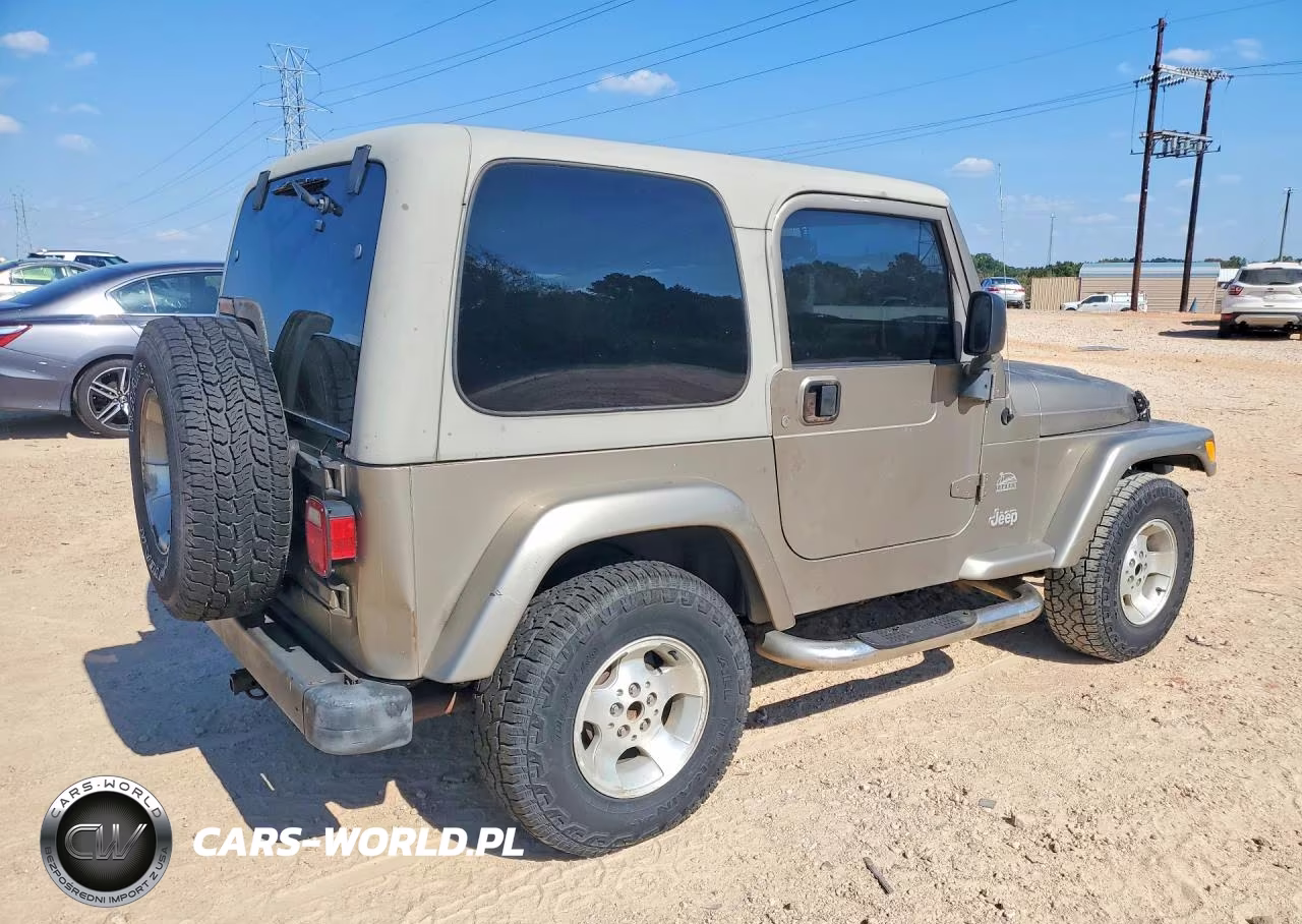 2003 Jeep Wrangler - Tj Sahara VIN:1J4FA59S13P313122 - 3