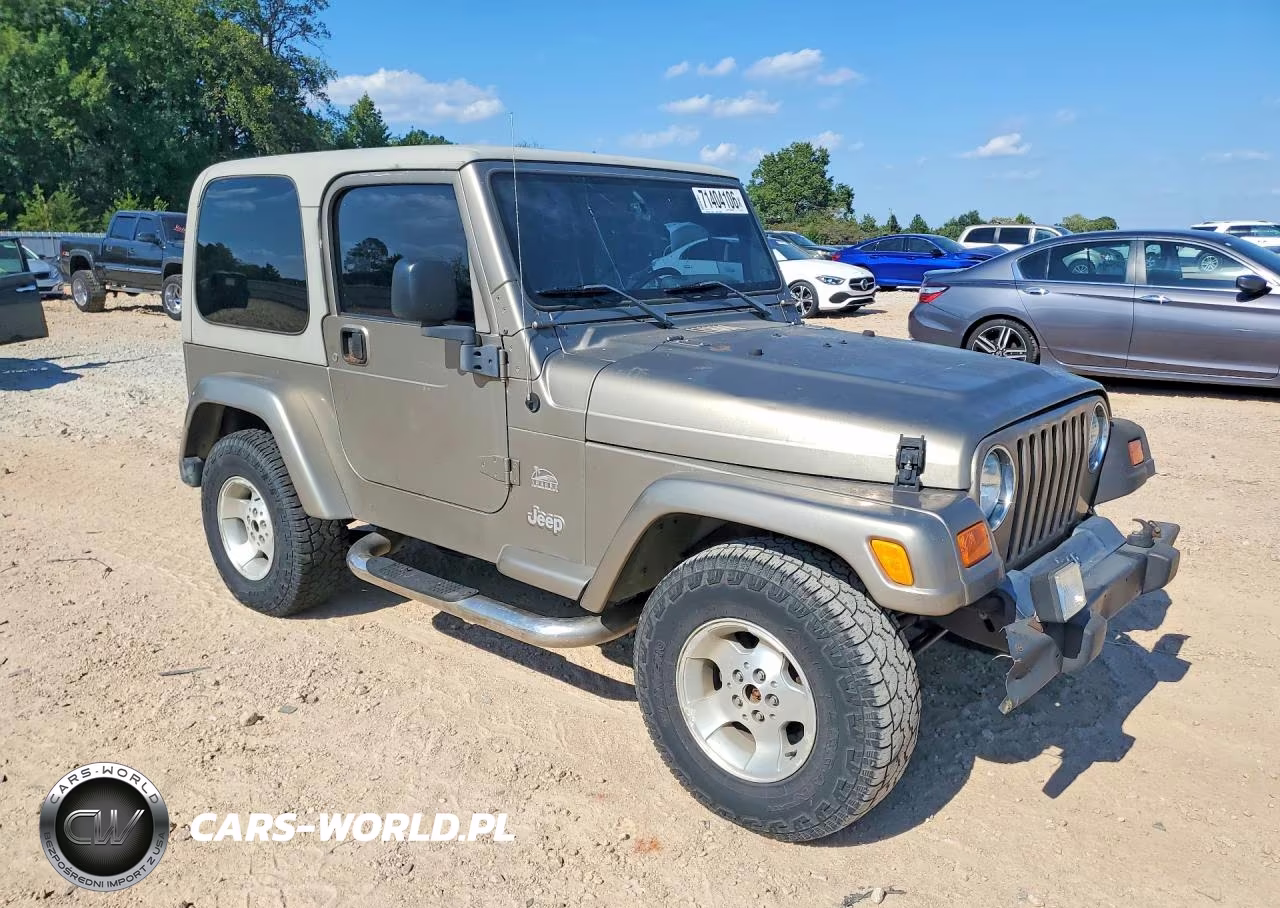 2003 Jeep Wrangler - Tj Sahara VIN:1J4FA59S13P313122 - 4