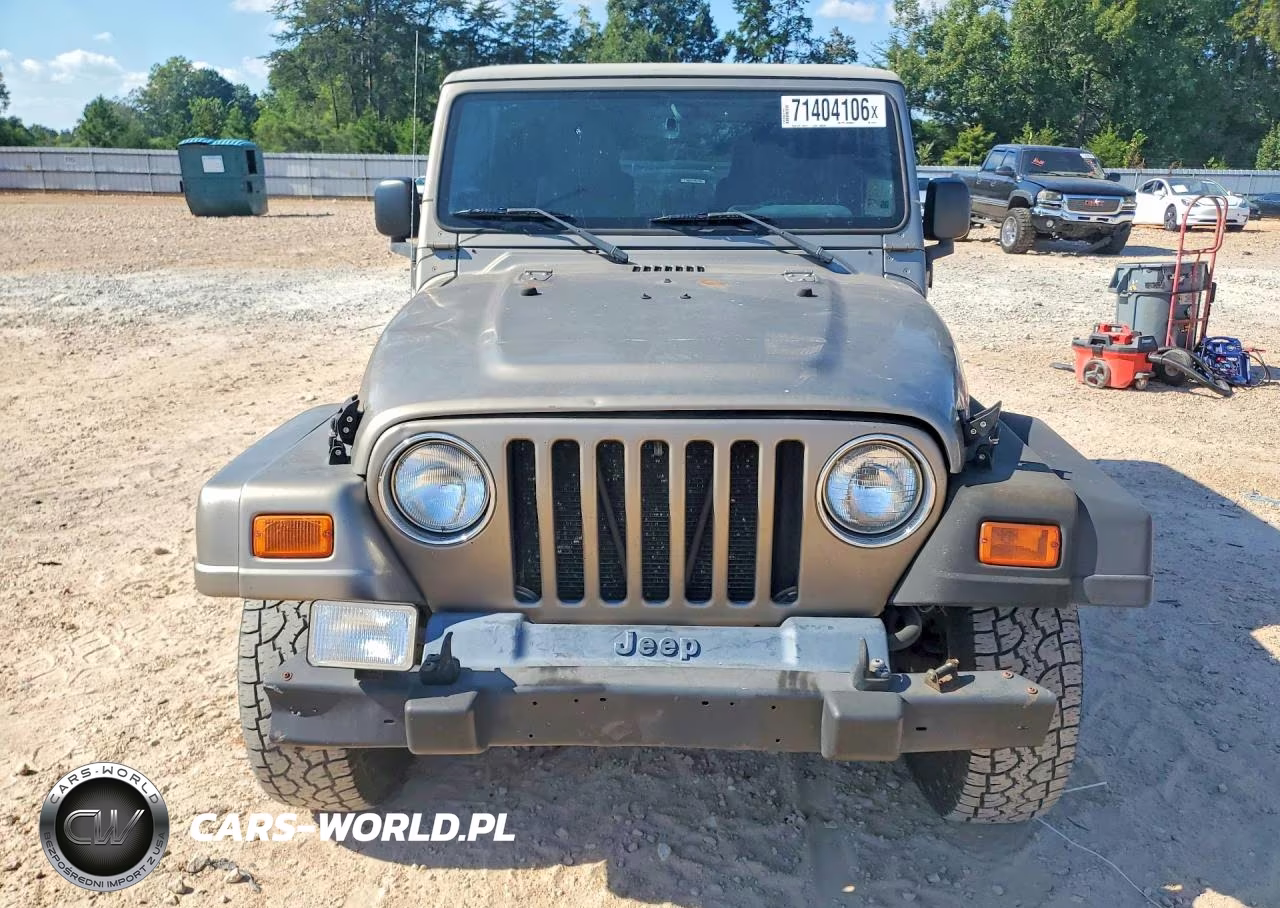 2003 Jeep Wrangler - Tj Sahara VIN:1J4FA59S13P313122 - 5