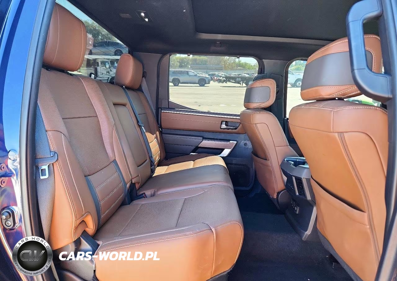 2023 Toyota Tundra 1794 Edition VIN:5TFMA5DB8PX107340 - 10