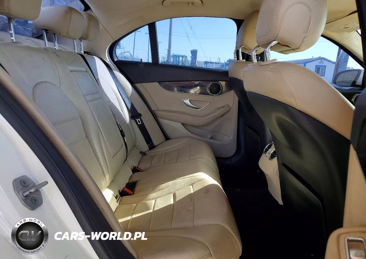 2016 Mercedes-Benz C 300 VIN:55SWF4JB2GU146104 - 10