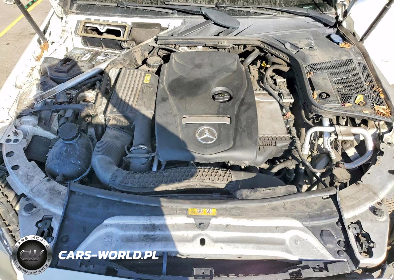 2016 Mercedes-Benz C 300 VIN:55SWF4JB2GU146104 - 11