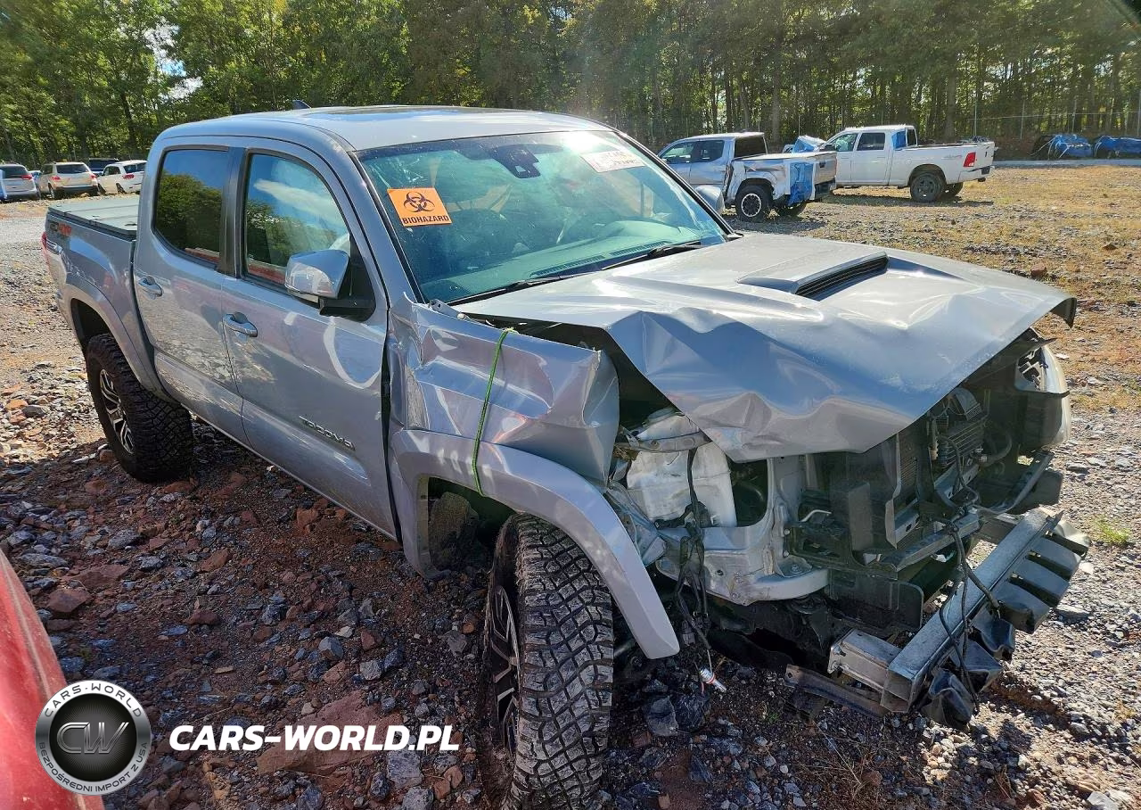 2019 Toyota Tacoma Trd Sport VIN:3TMCZ5AN9KM224894 - 4