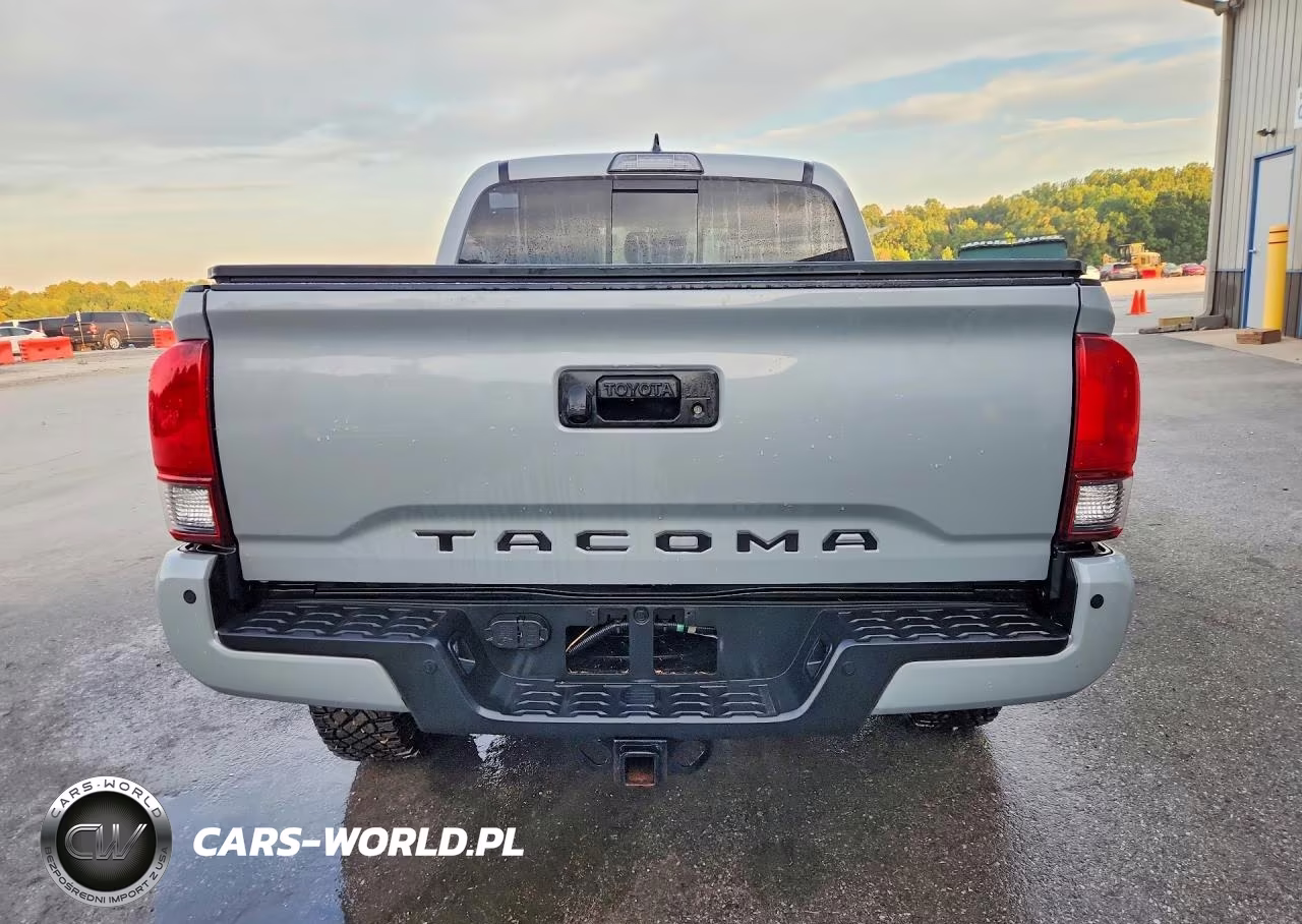 2019 Toyota Tacoma Trd Sport VIN:3TMCZ5AN9KM224894 - 6