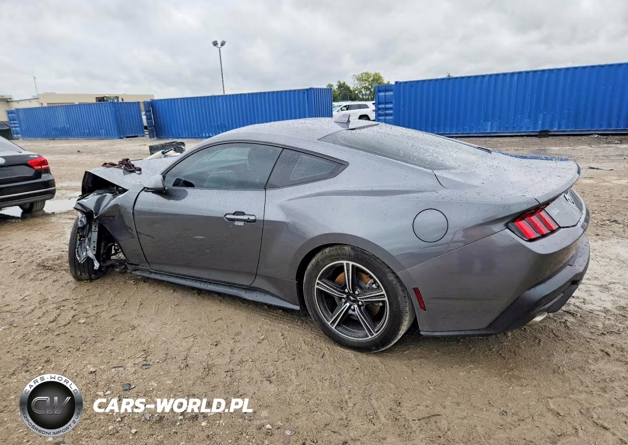 2024 Ford Mustang VIN:1FA6P8TH3R5113887 - 2