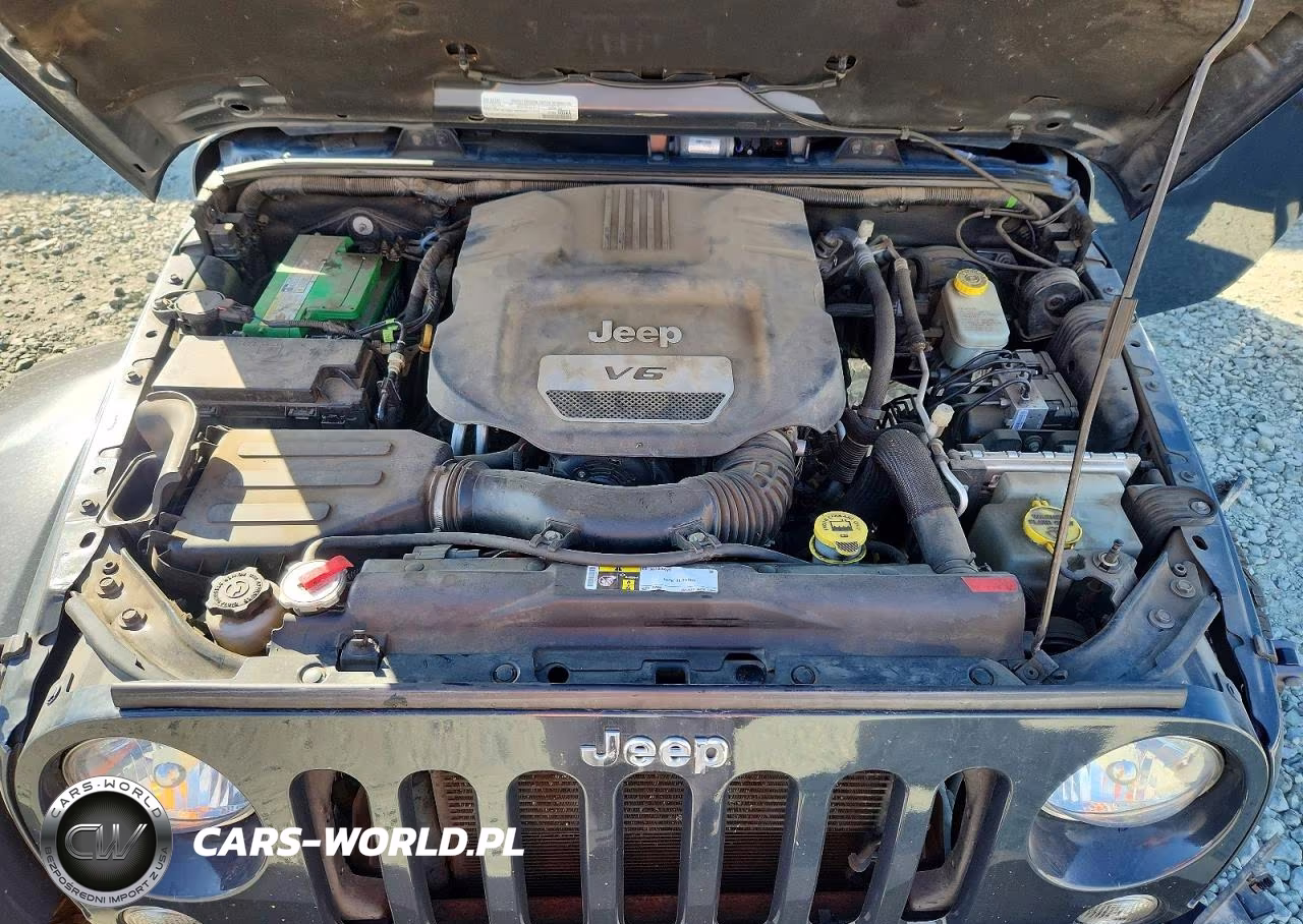 2016 Jeep Wrangler Unlimited Rubicon VIN:1C4BJWFG7GL324102 - 11