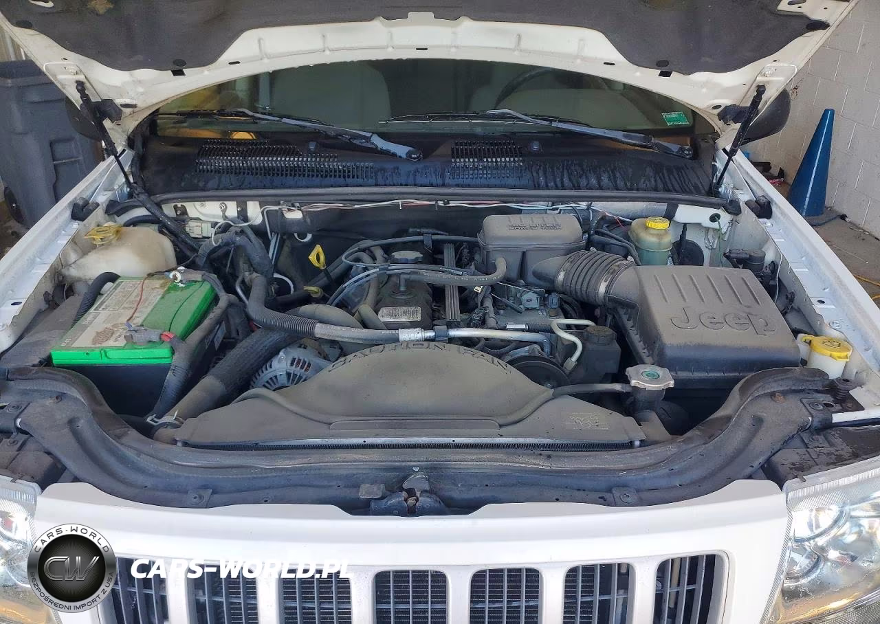 2004 Jeep Grand Cherokee Laredo VIN:1J4GW48S14C153186 - 11