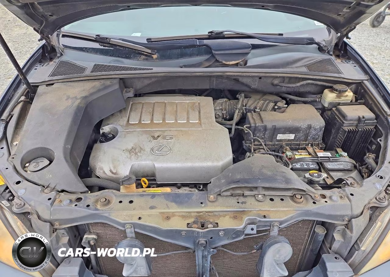 2007 Lexus Rx 350 VIN:2T2HK31U97C009744 - 12
