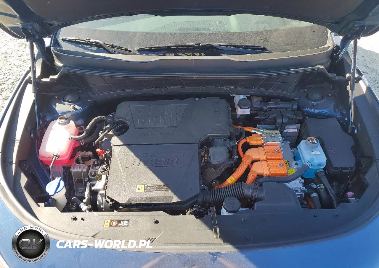 2025 Kia Niro Ex VIN:KNDCS3LF9S5256152 - 12