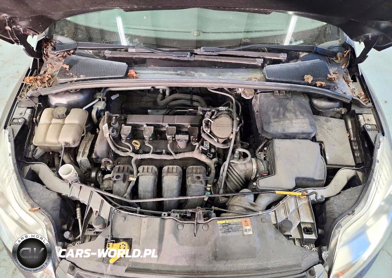 2014 Ford Focus Se VIN:1FADP3K22EL178386 - 11