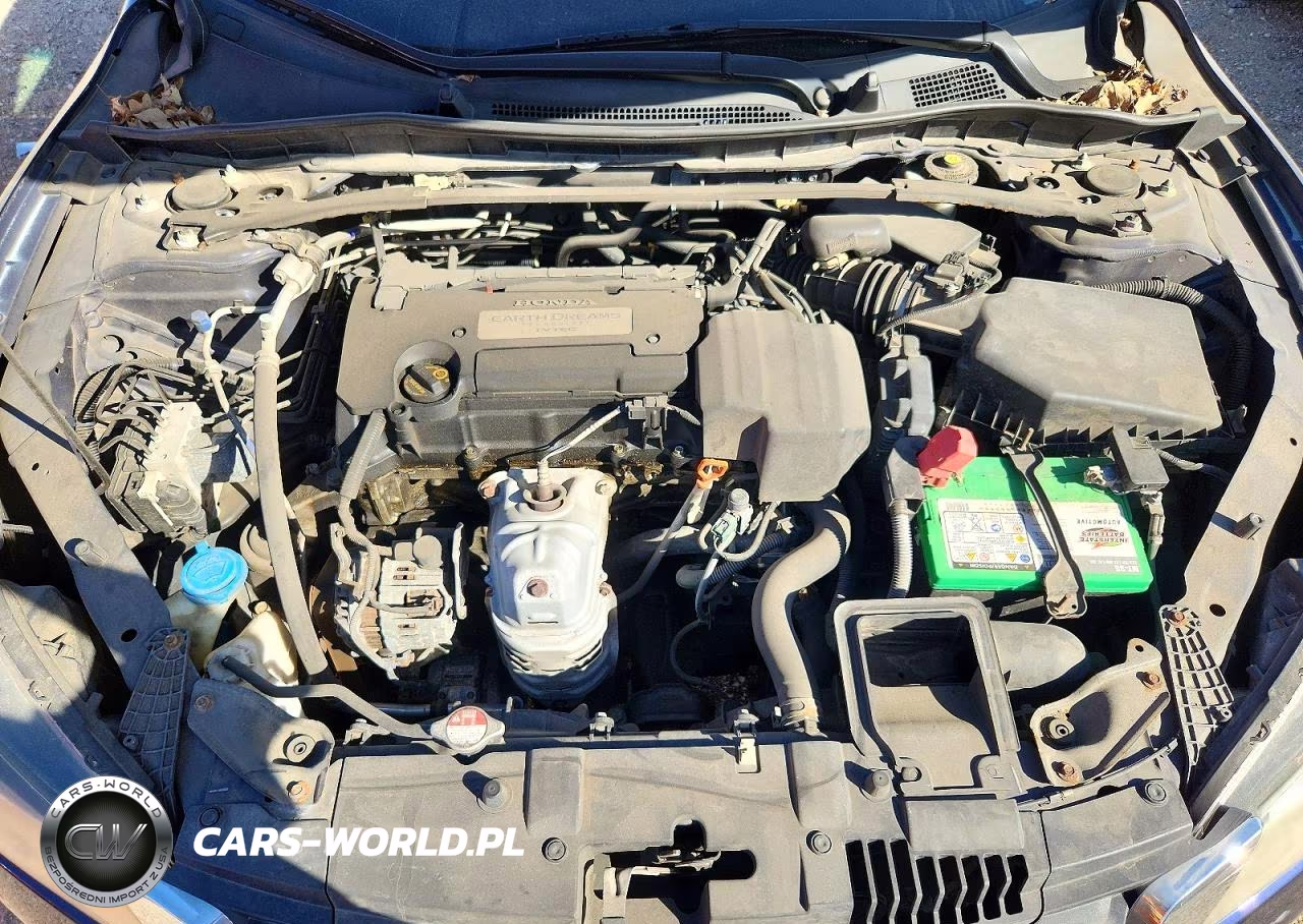 2013 Honda Accord Exl VIN:1HGCR2F81DA015135 - 11