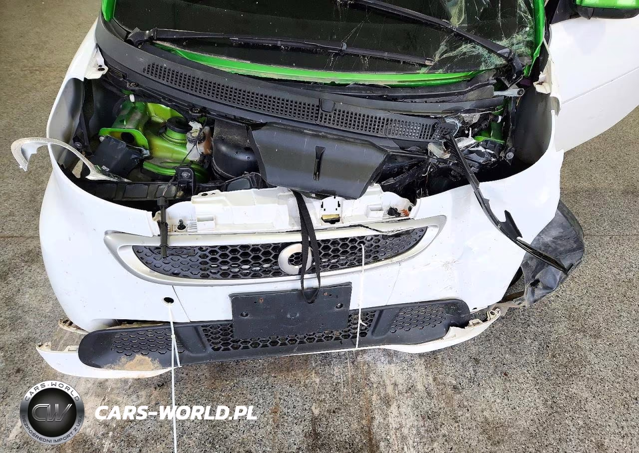 2014 Smart Fortwo VIN:WMEEJ9AA0EK731006 - 11