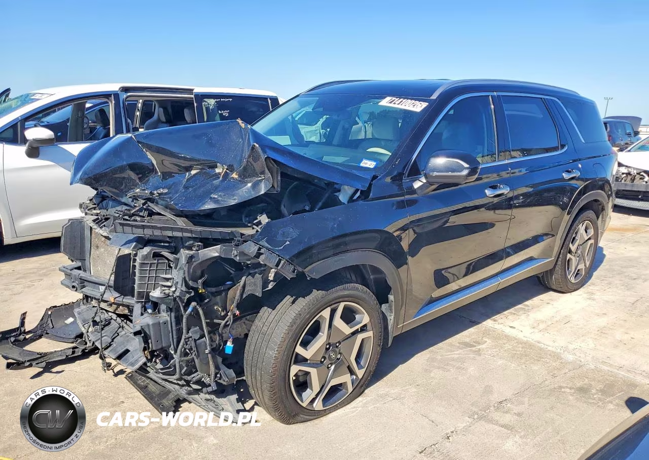 2023 Hyundai Palisade Limited VIN:KM8R5DGE0PU566496 - 1