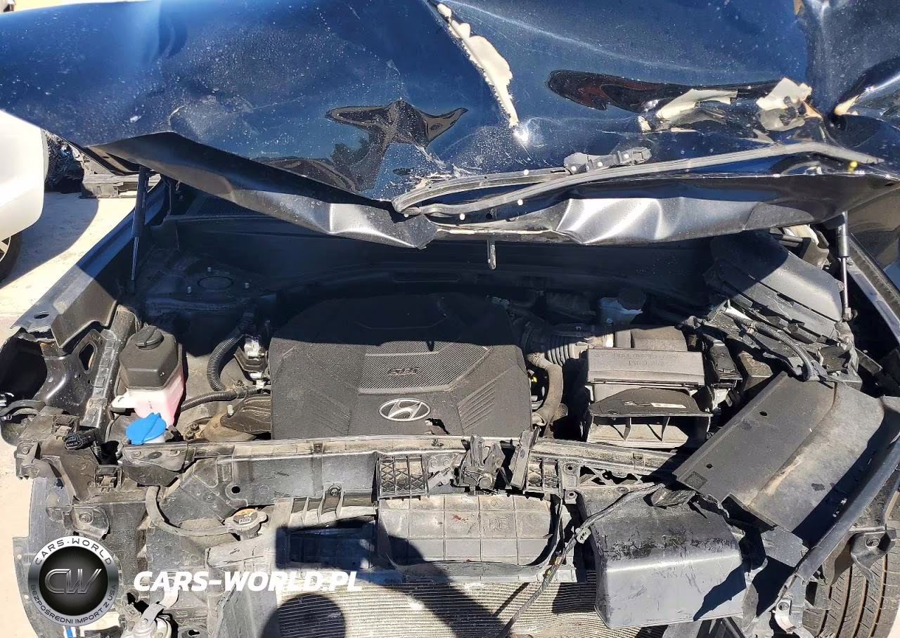 2023 Hyundai Palisade Limited VIN:KM8R5DGE0PU566496 - 12