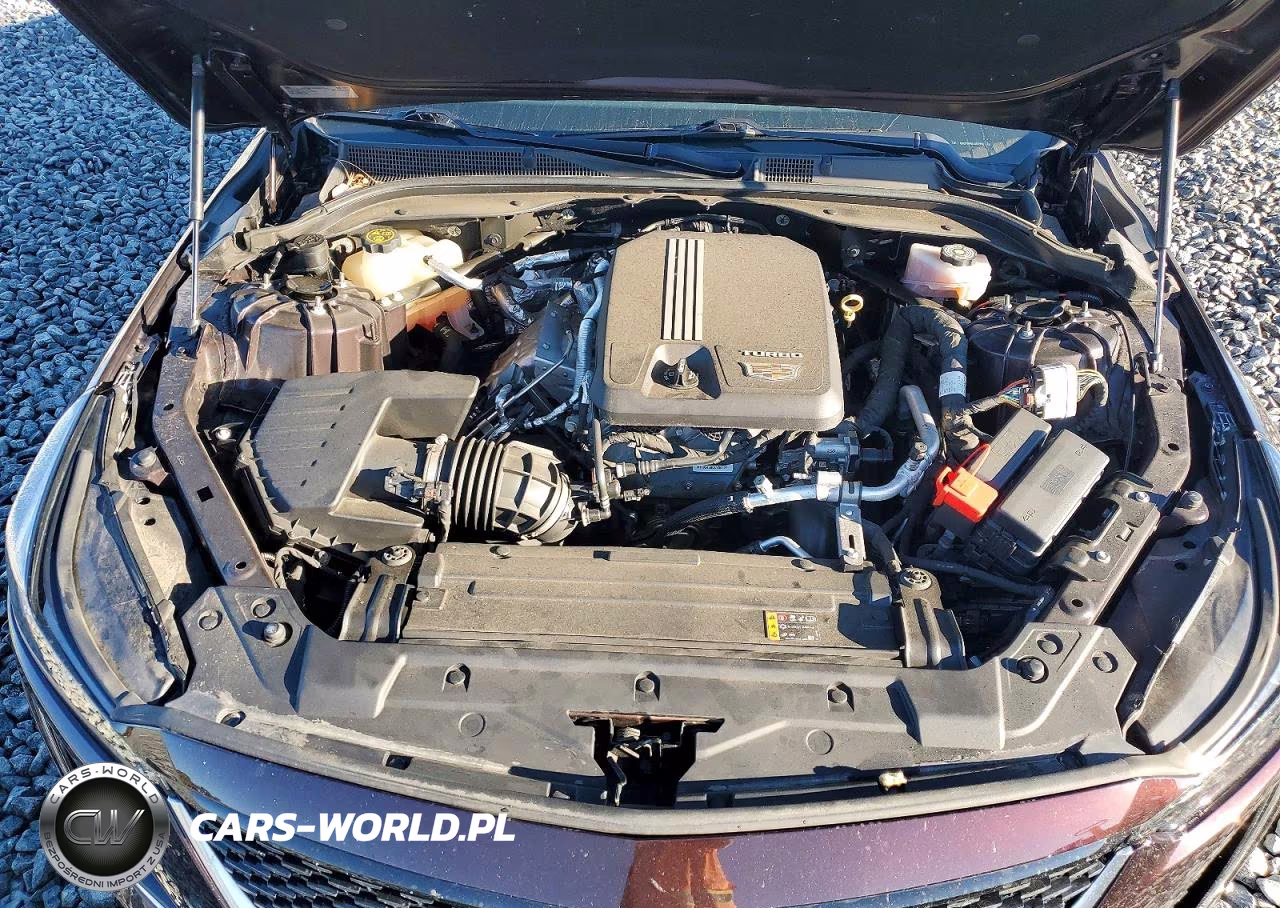 2020 Cadillac Ct5 Premium Luxury VIN:1G6DT5RKXL0122592 - 11