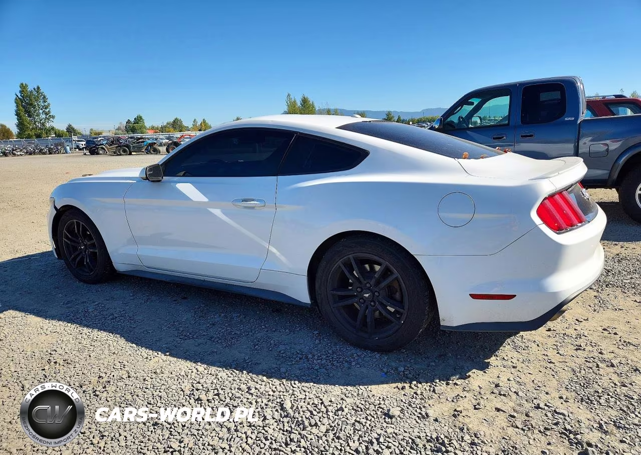 2016 Ford Mustang I4 Coupe VIN:1FA6P8TH6G5227234 - 2