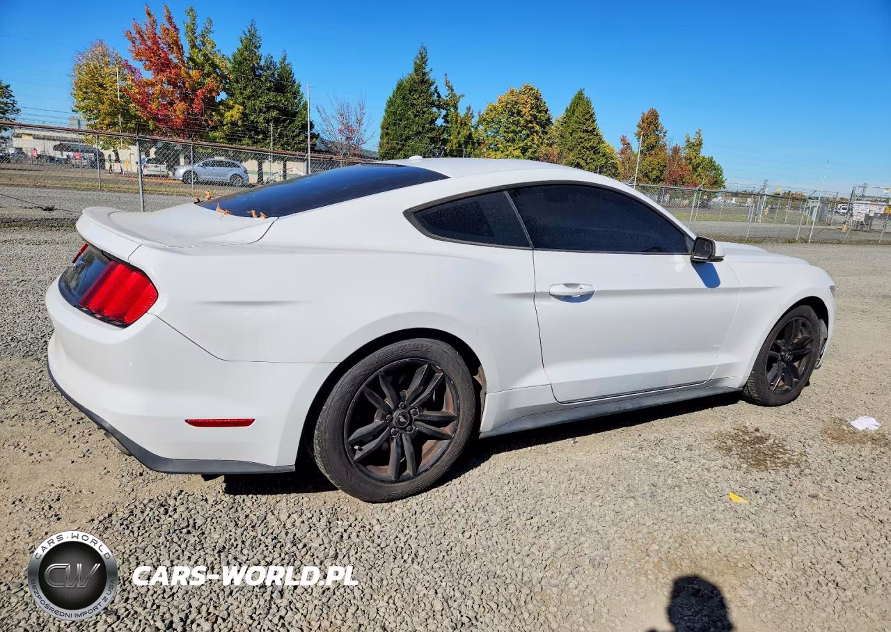 2016 Ford Mustang I4 Coupe VIN:1FA6P8TH6G5227234 - 3