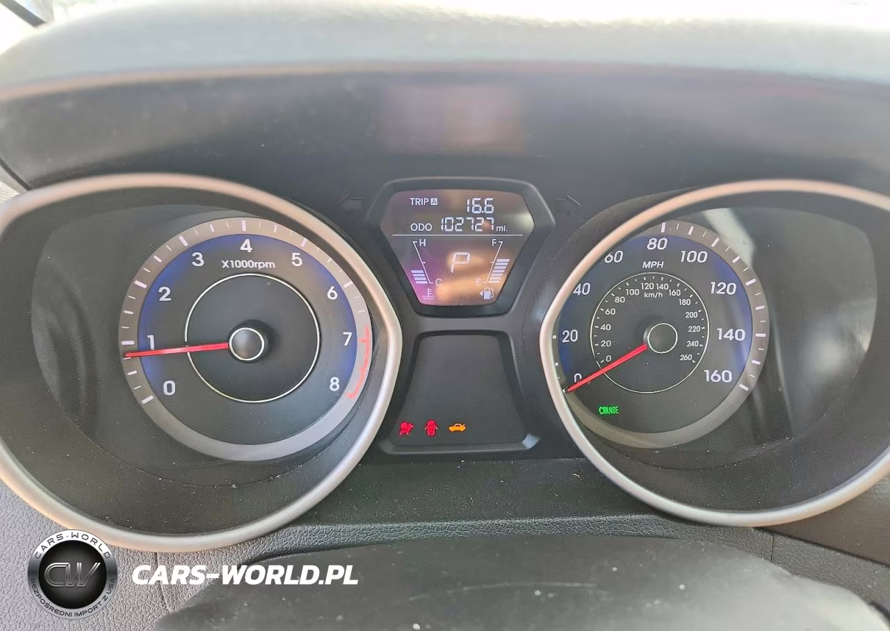 2013 Hyundai Elantra Coupe Gs VIN:KMHDH6AE9DU016554 - 9