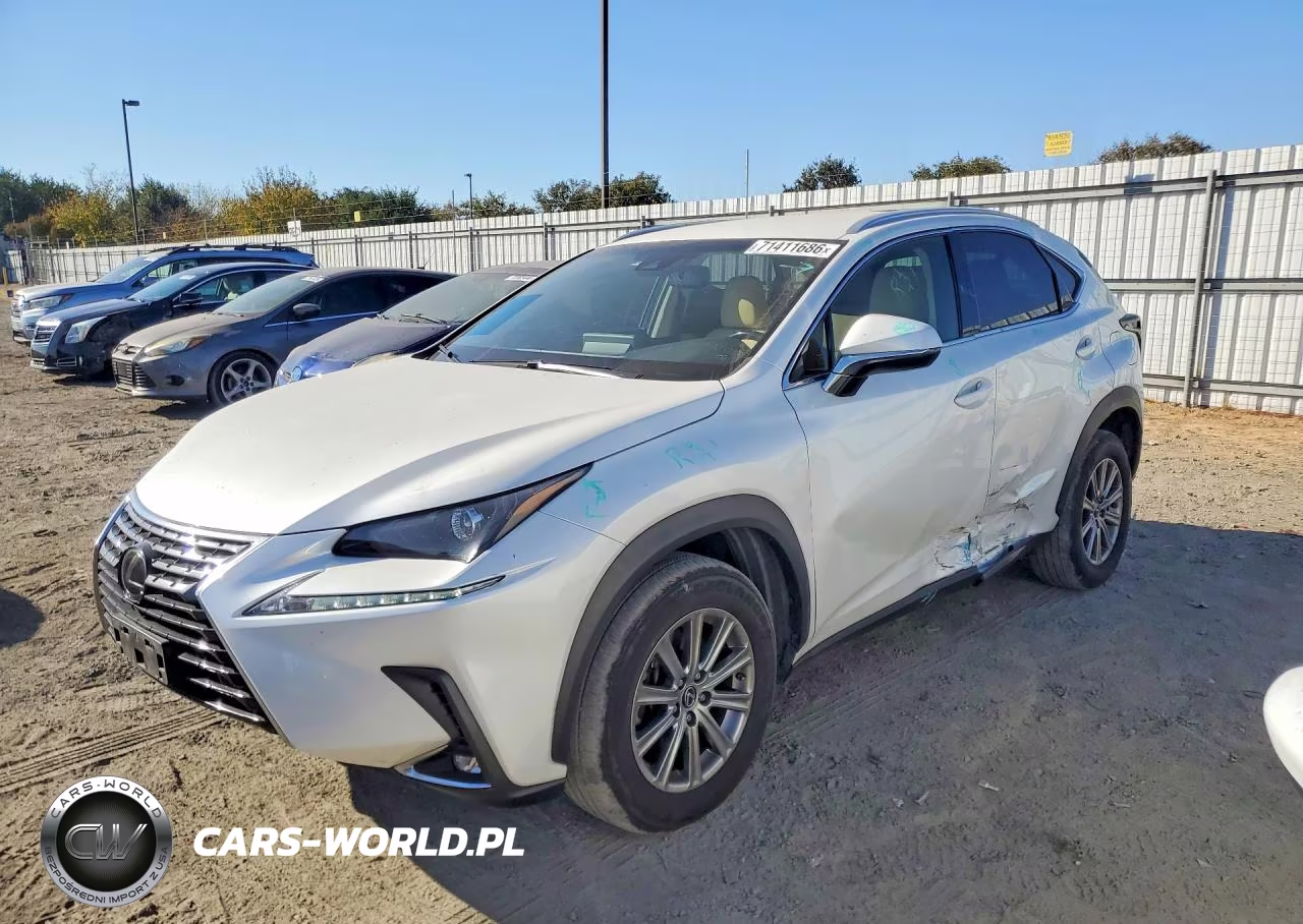 2018 Lexus Nx 300 Base VIN:JTJYARBZ9J2091367 - 1