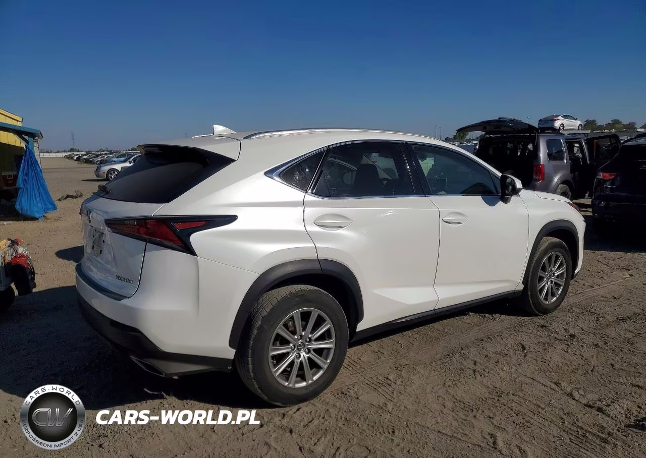 2018 Lexus Nx 300 Base VIN:JTJYARBZ9J2091367 - 3