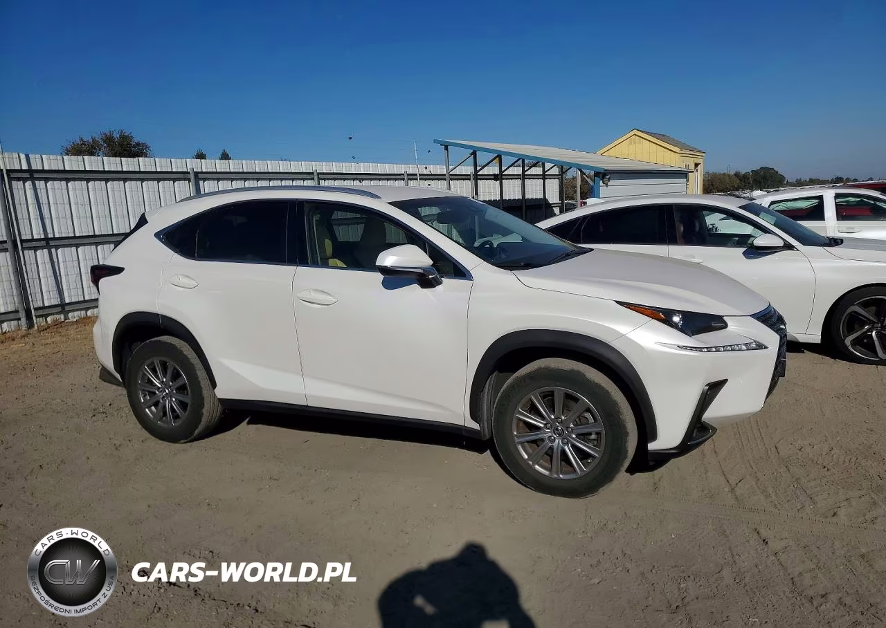 2018 Lexus Nx 300 Base VIN:JTJYARBZ9J2091367 - 4