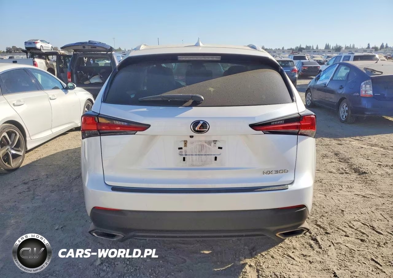 2018 Lexus Nx 300 Base VIN:JTJYARBZ9J2091367 - 6
