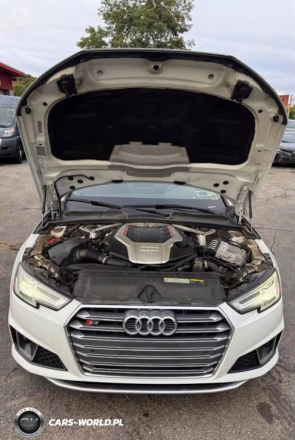 2019 Audi S4 Premium Plus VIN:WAUB4AF40KA034558 - 7