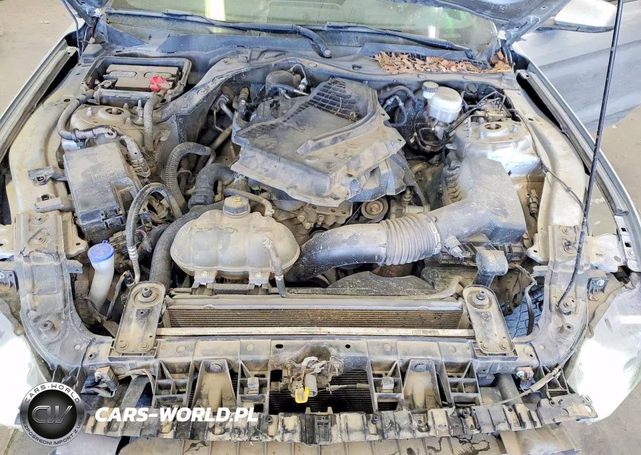 2020 Ford Mustang VIN:1FA6P8TH4L5155055 - 11