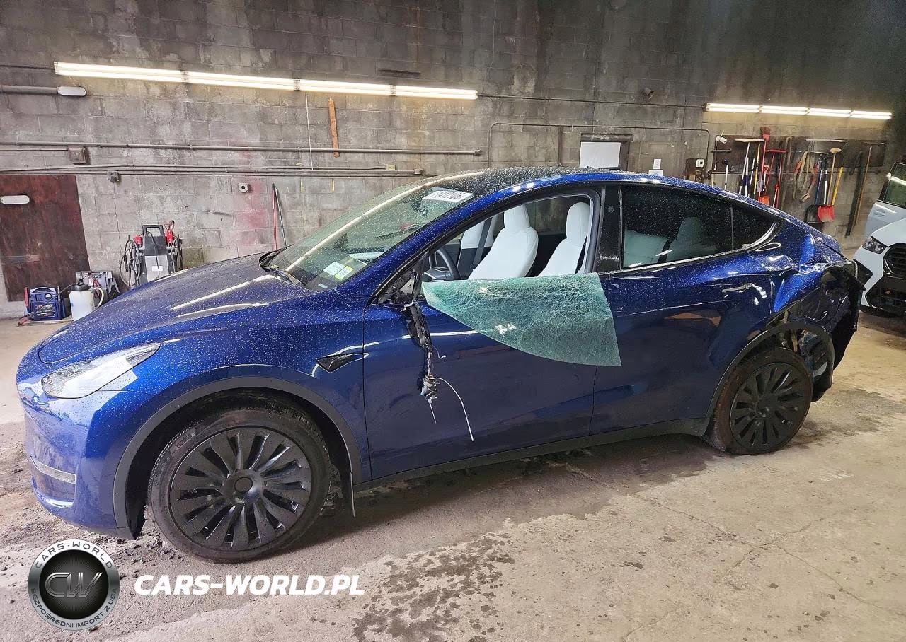 2024 Tesla Model Y