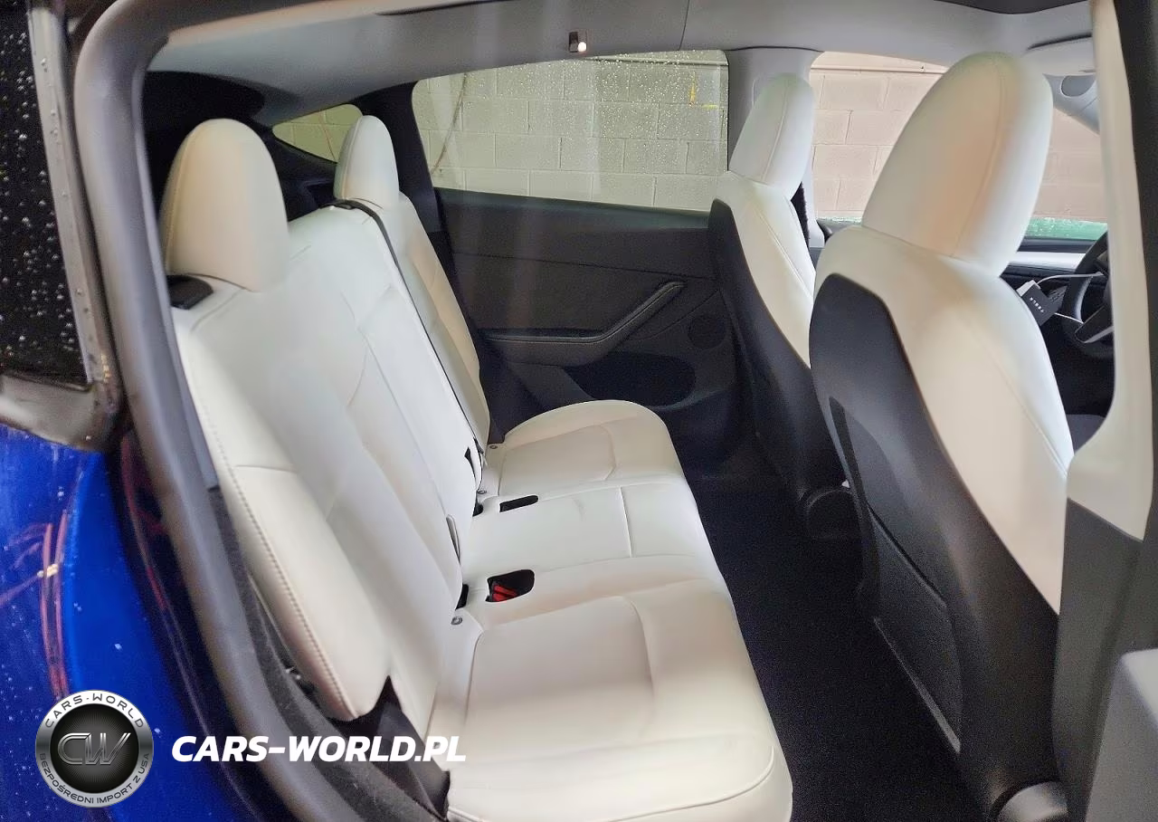 2024 Tesla Model Y VIN:7SAYGDEE2RA215372 - 11
