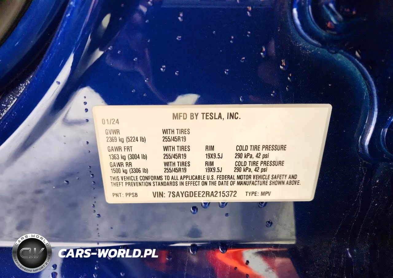 2024 Tesla Model Y VIN:7SAYGDEE2RA215372 - 13