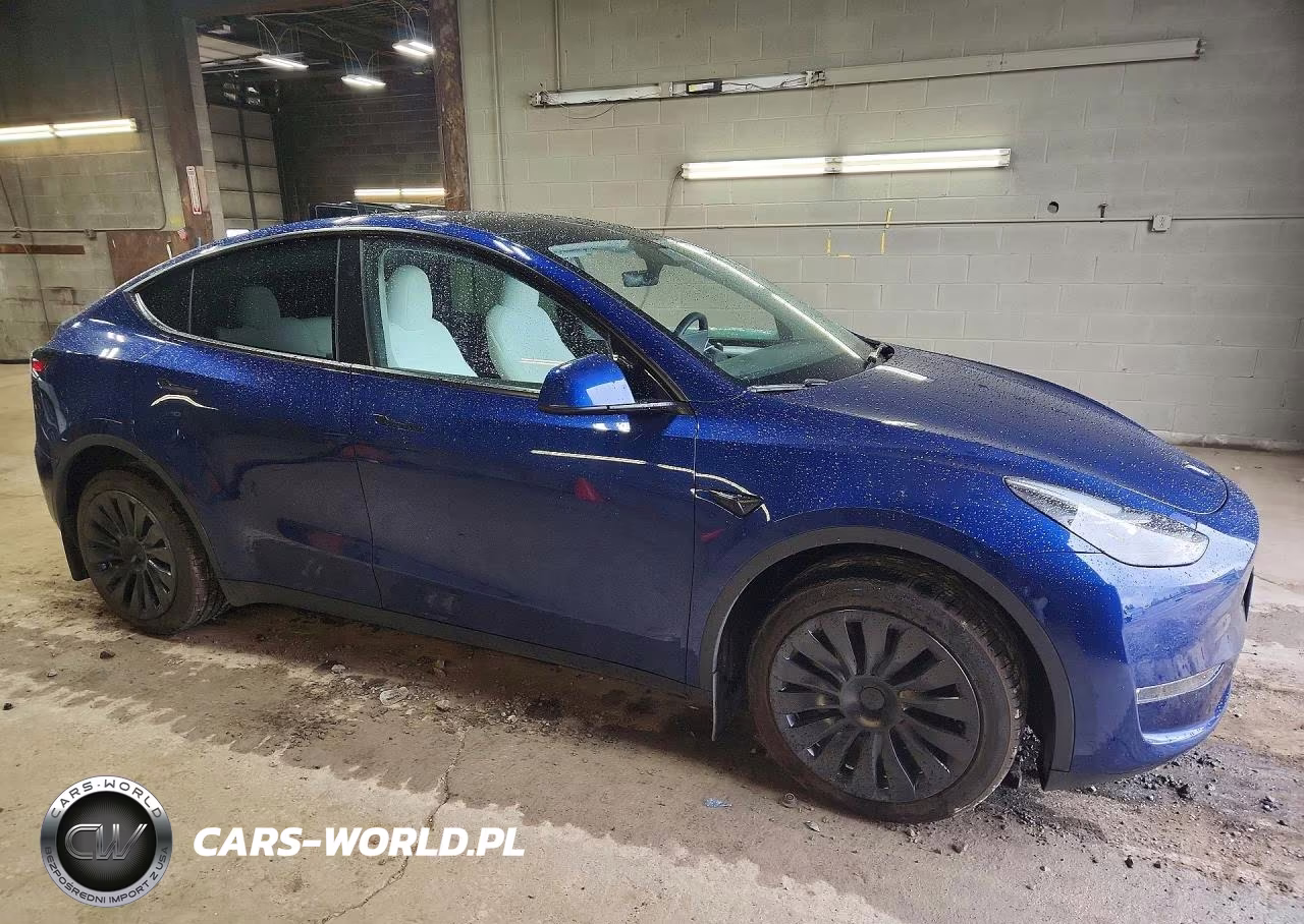 2024 Tesla Model Y VIN:7SAYGDEE2RA215372 - 4