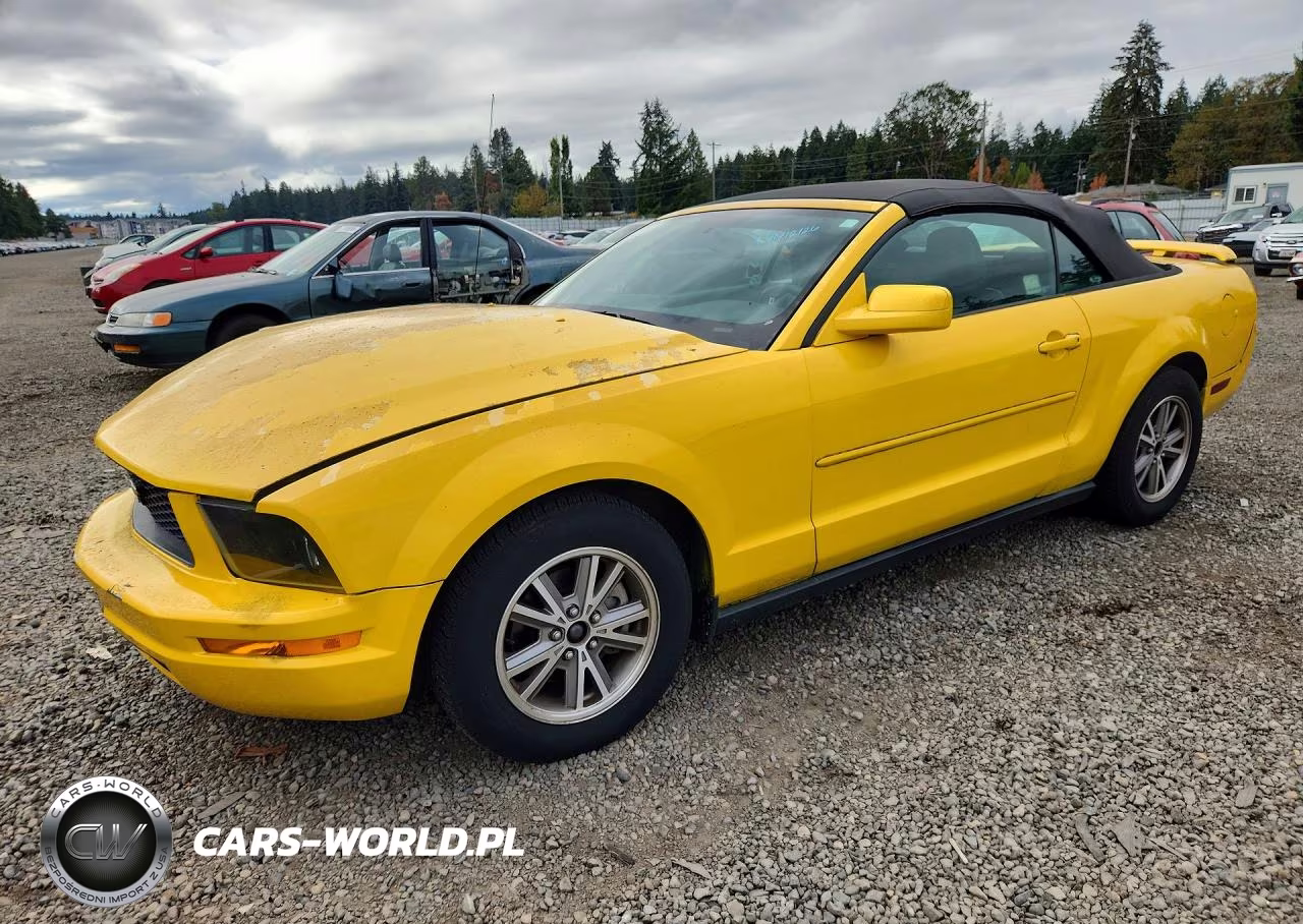2005 Ford Mustang VIN:1ZVFT84N155182448 - 1