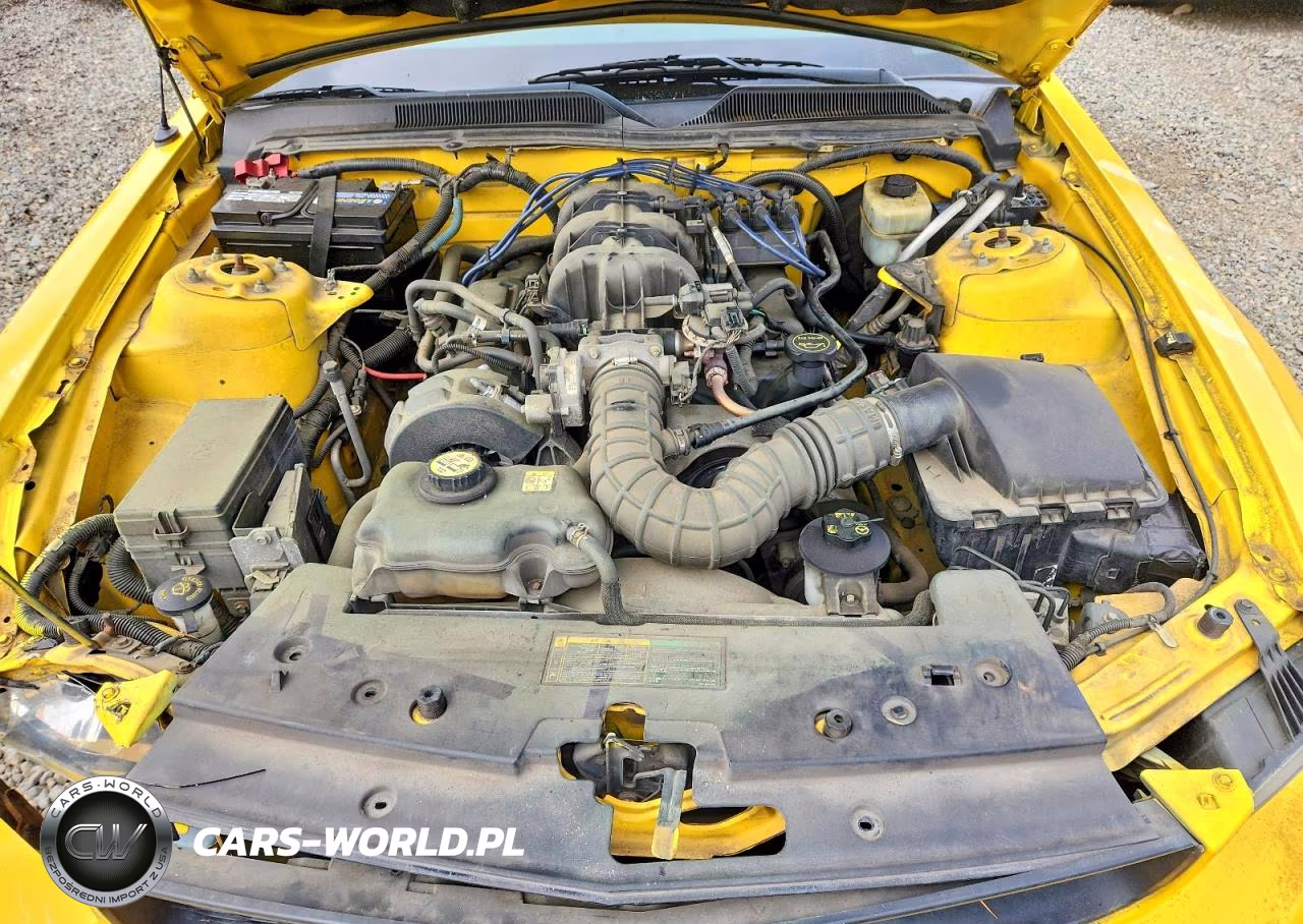 2005 Ford Mustang VIN:1ZVFT84N155182448 - 11