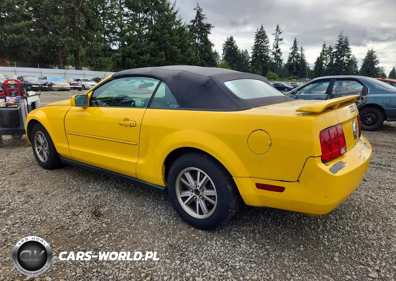 2005 Ford Mustang VIN:1ZVFT84N155182448 - 2