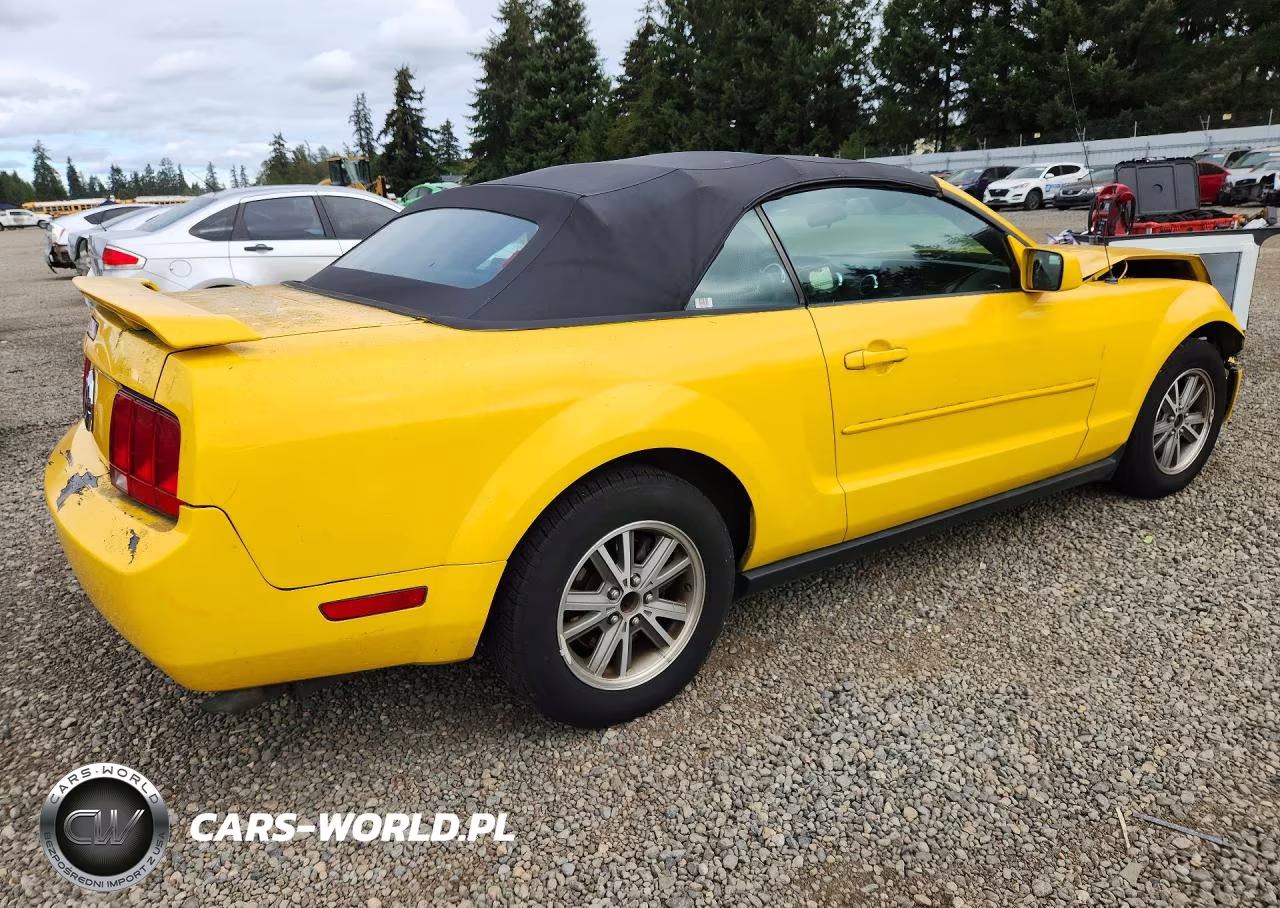 2005 Ford Mustang VIN:1ZVFT84N155182448 - 3