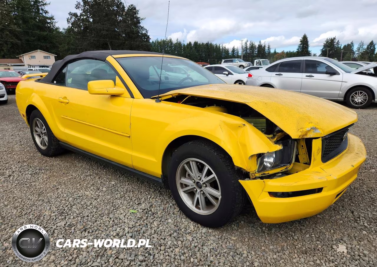 2005 Ford Mustang VIN:1ZVFT84N155182448 - 4