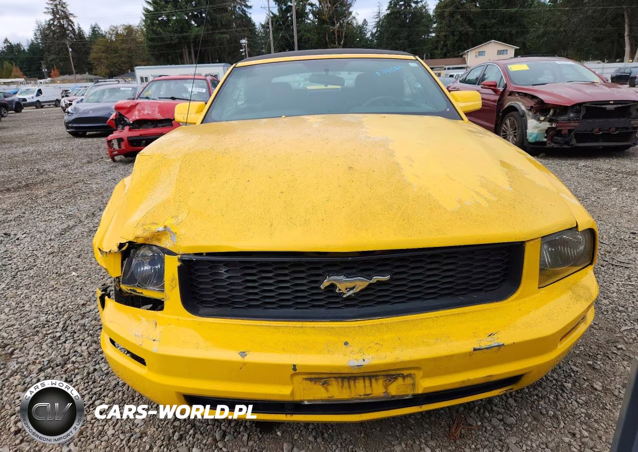 2005 Ford Mustang VIN:1ZVFT84N155182448 - 5