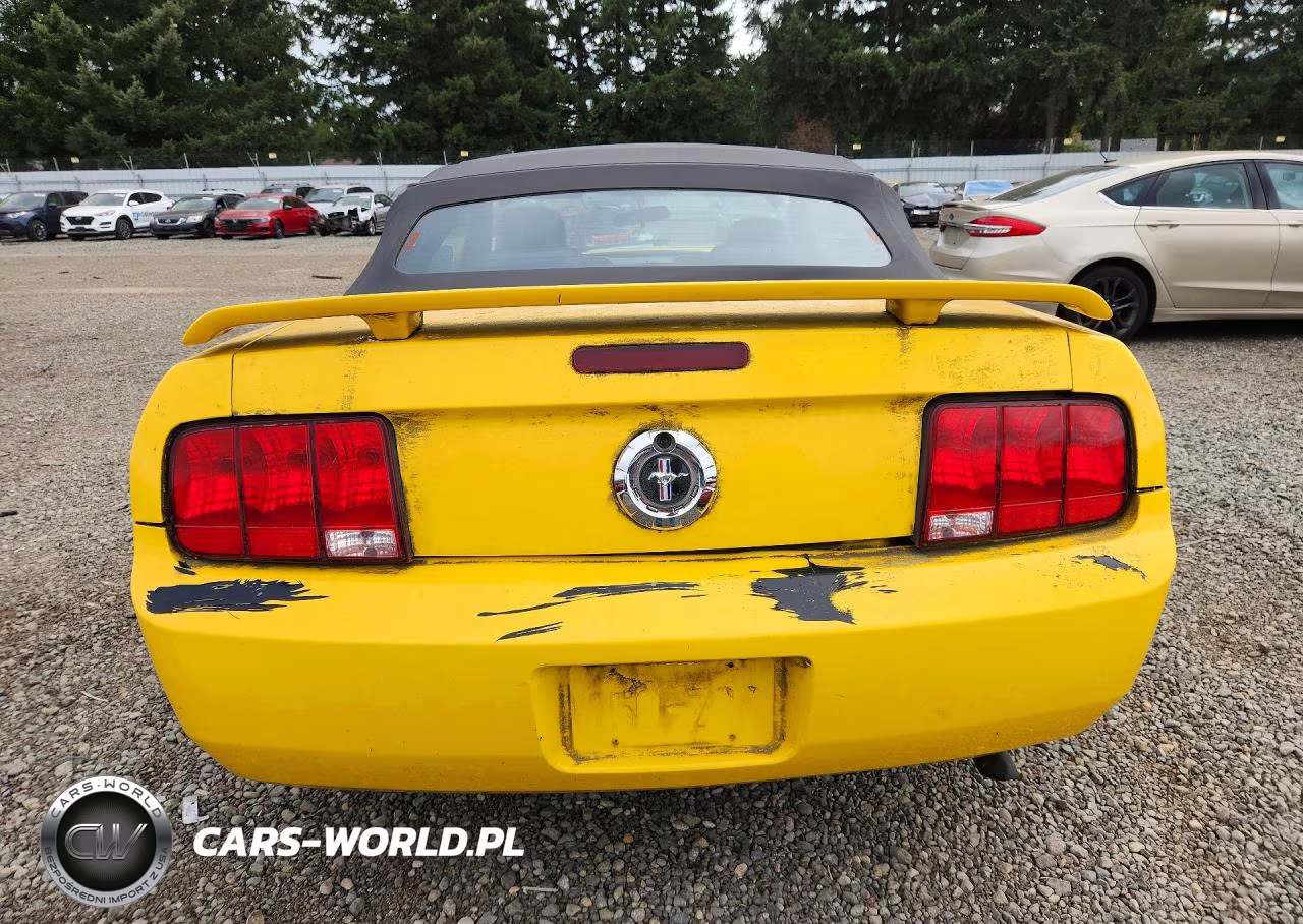 2005 Ford Mustang VIN:1ZVFT84N155182448 - 6